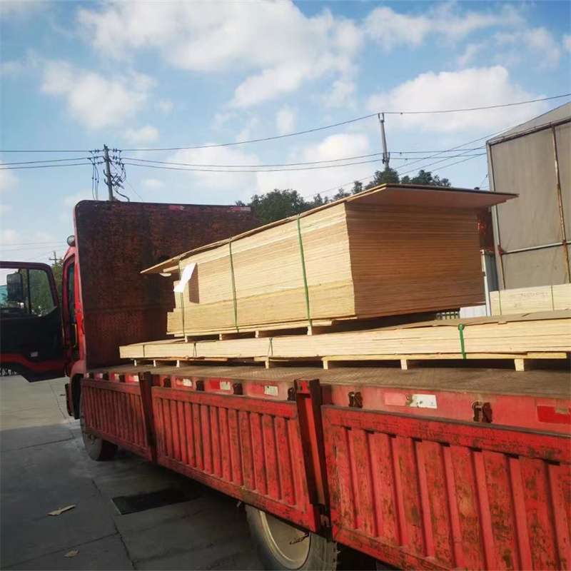 黑龙江绥化兰西县至塔城货运专线，一站式物流服务助您成功